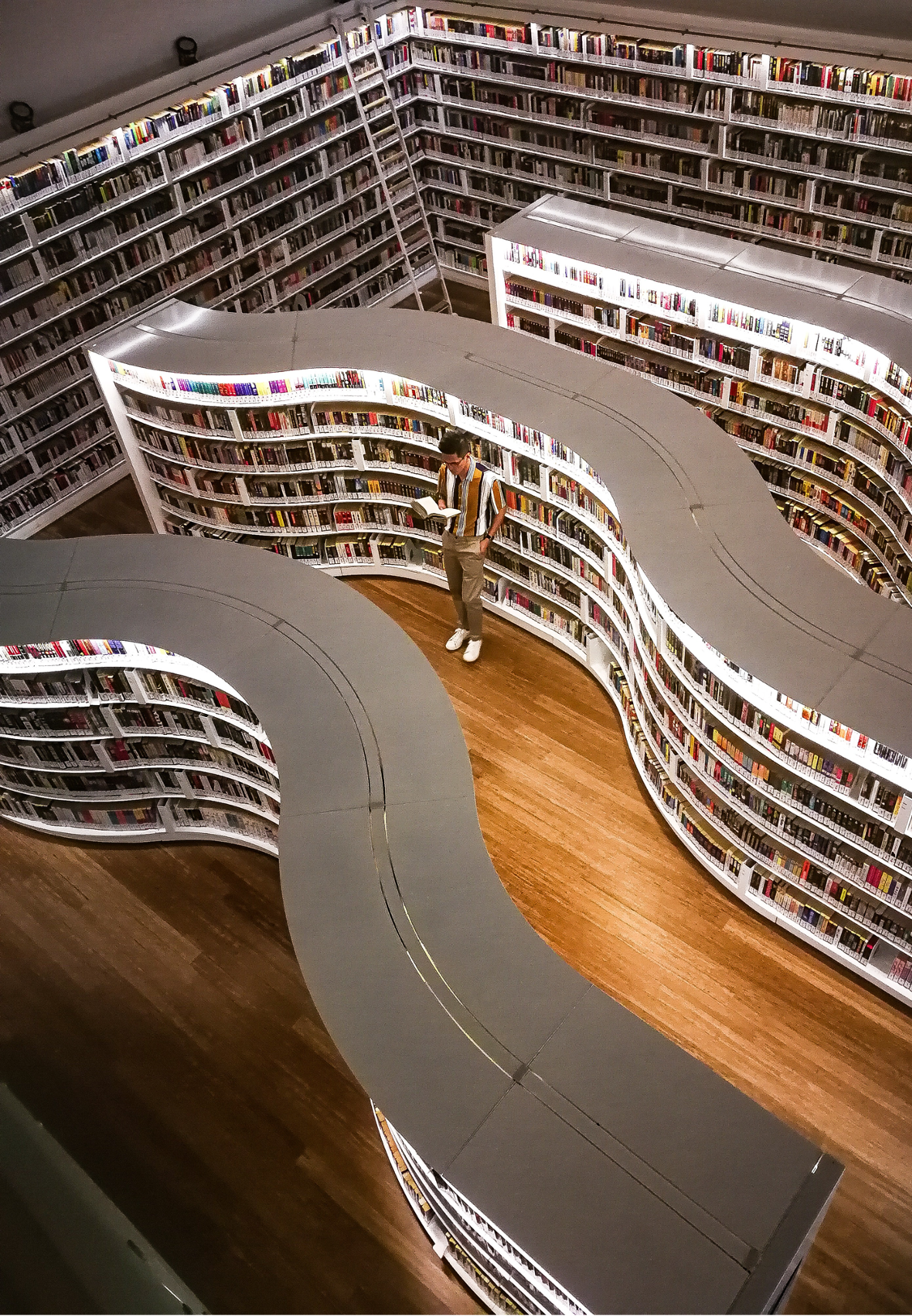Osvětlená knihovna s moderními vlnitými regály knih