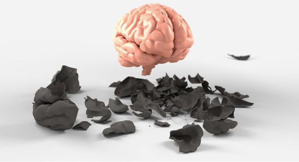 model mozku a pod ním střepy šedé kůra mozkové