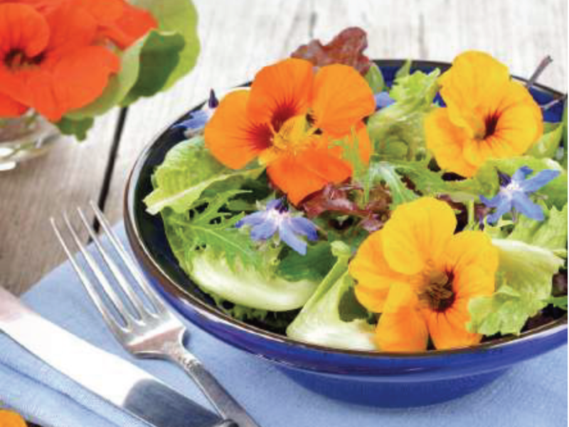 květiny na talíři se salátem na modrém ubrousku